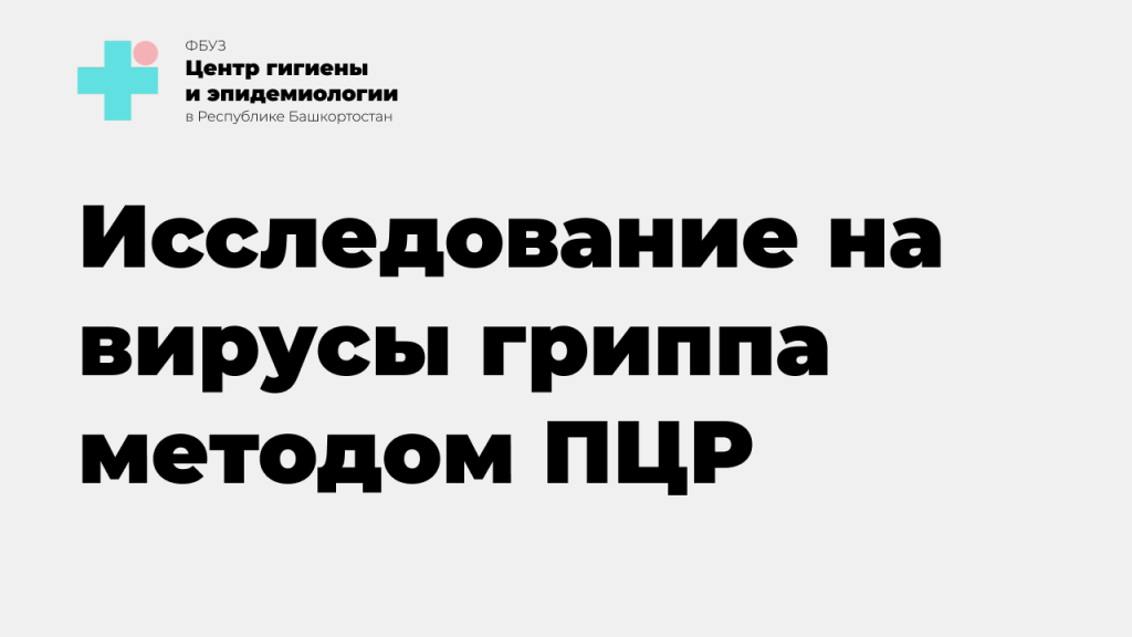 Исследование на вирусы гриппа методом ПЦР_2.png Исследование на вирусы гриппа методом ПЦР_2.png