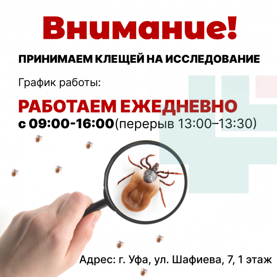 ПРИНИМАЕМ КЛЕЩЕЙ НА ИССЛЕДОВАНИЕ  в том числе в выходные и праздничные дни